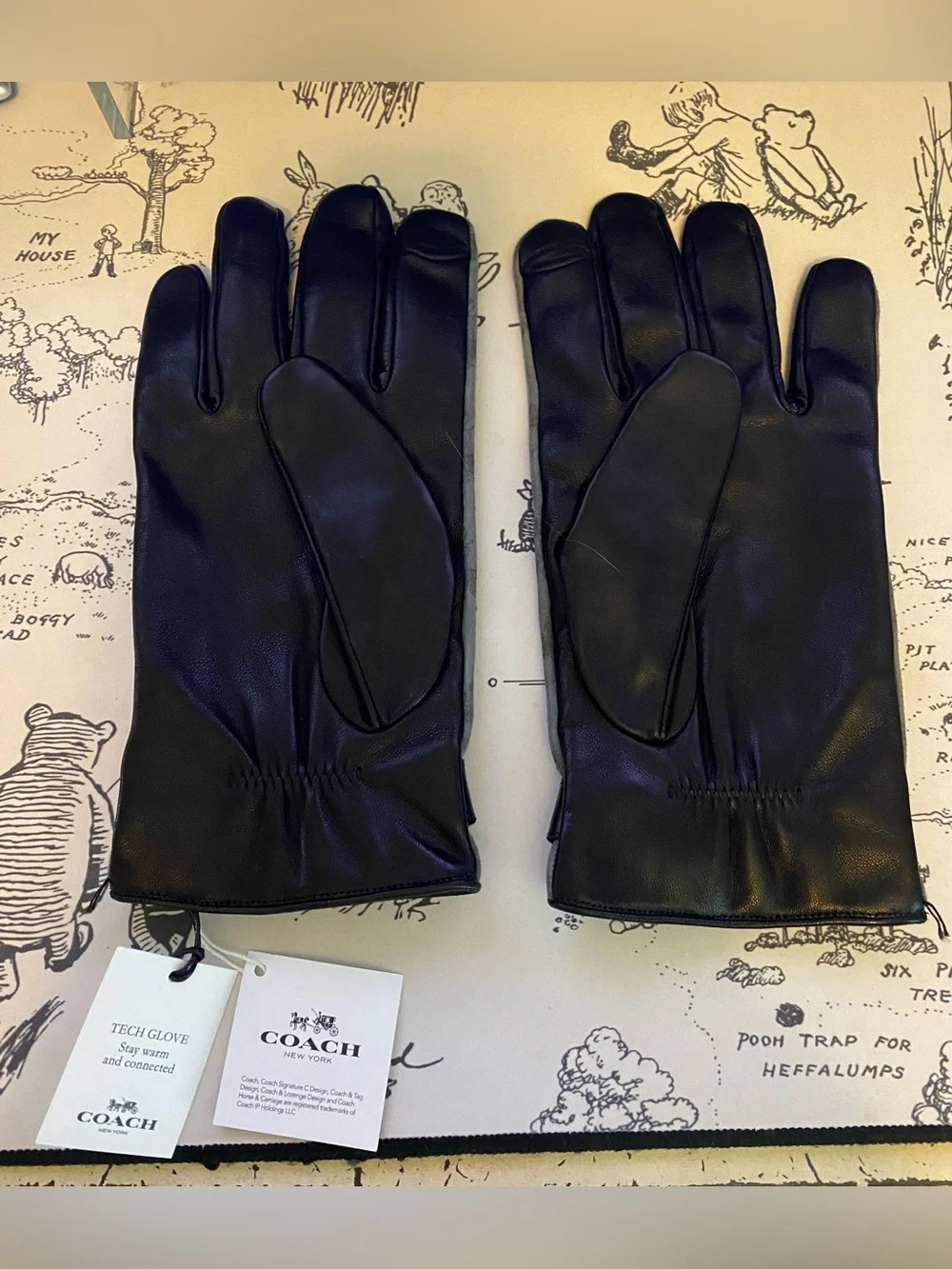 NWT- Coach Horse & Carriage Tech Gloves